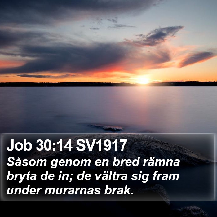 Job 30:14 SV1917 Bible Study