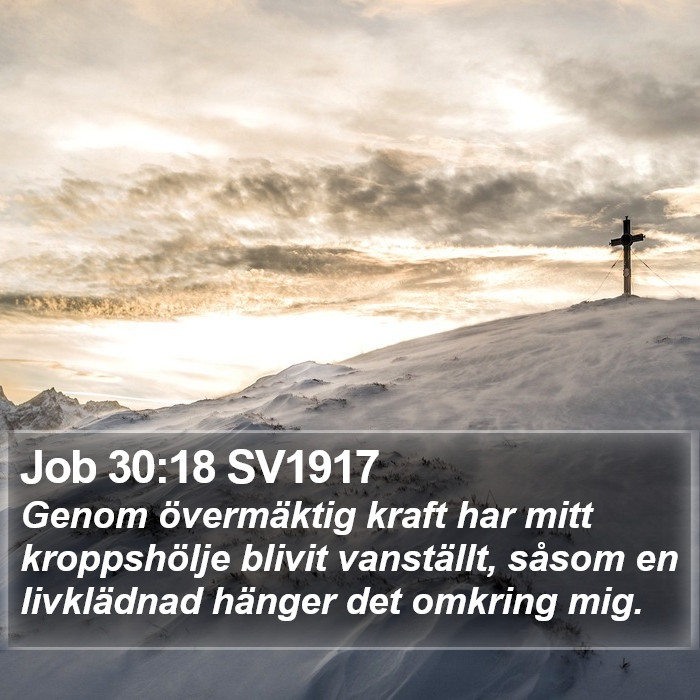 Job 30:18 SV1917 Bible Study