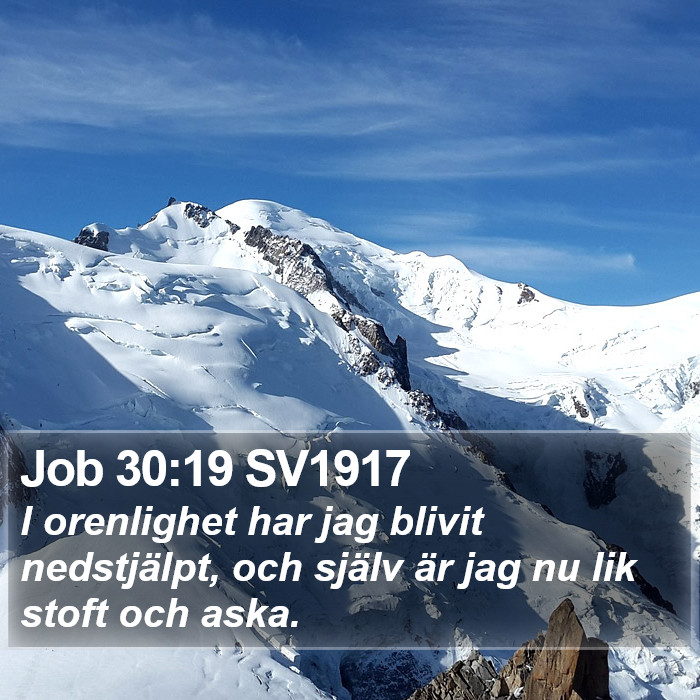 Job 30:19 SV1917 Bible Study