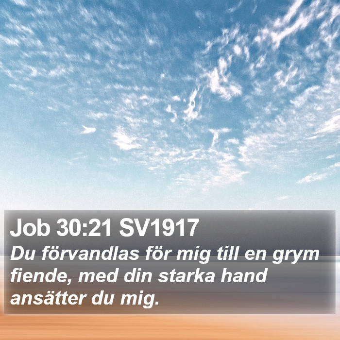 Job 30:21 SV1917 Bible Study