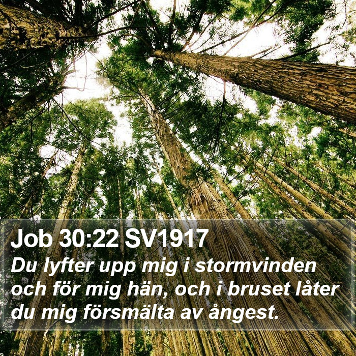 Job 30:22 SV1917 Bible Study