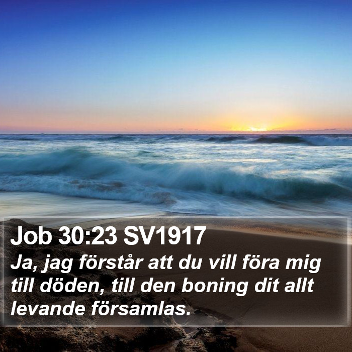 Job 30:23 SV1917 Bible Study