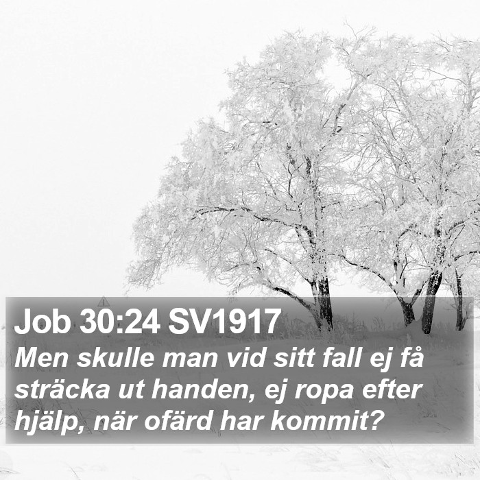 Job 30:24 SV1917 Bible Study