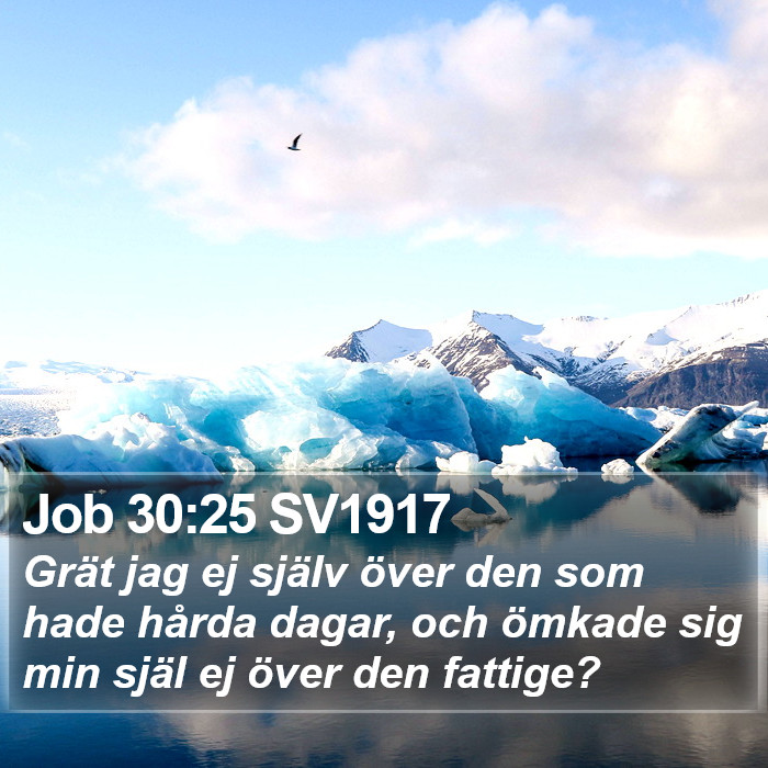 Job 30:25 SV1917 Bible Study