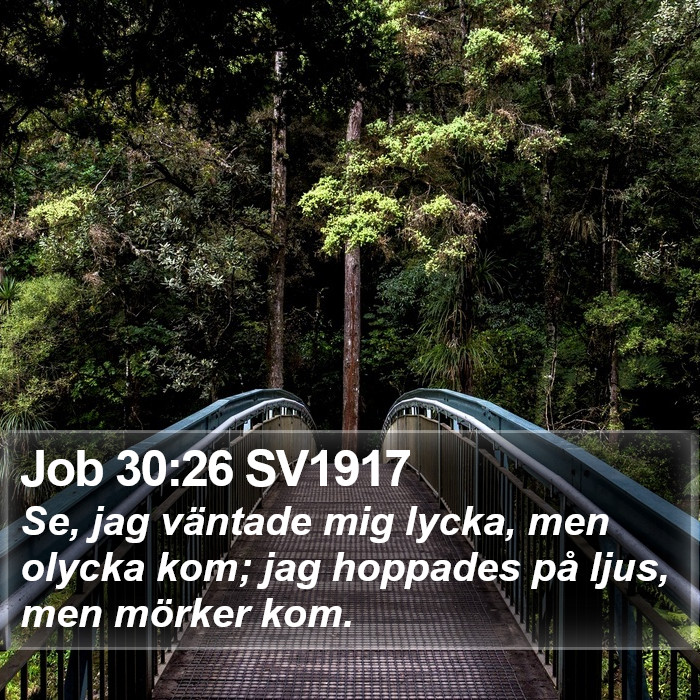 Job 30:26 SV1917 Bible Study