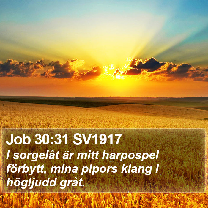 Job 30:31 SV1917 Bible Study