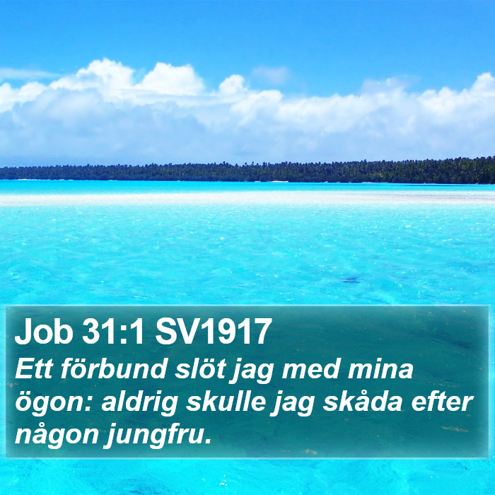 Job 31:1 SV1917 Bible Study