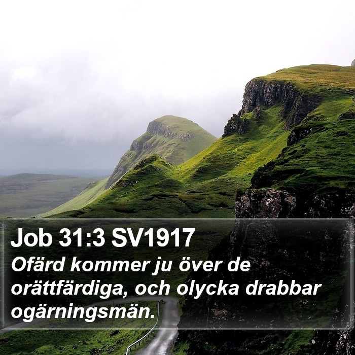 Job 31:3 SV1917 Bible Study