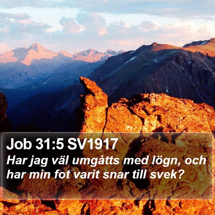 Job 31:5 SV1917 Bible Study