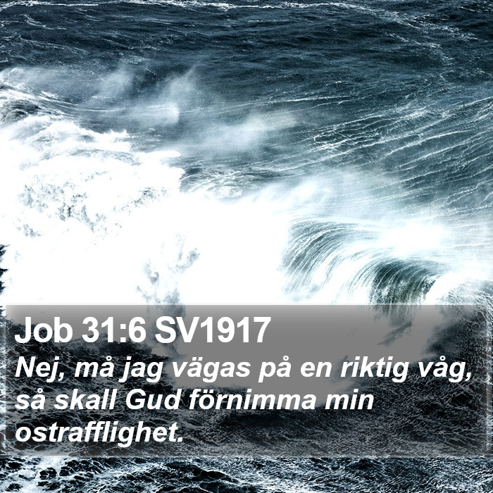 Job 31:6 SV1917 Bible Study