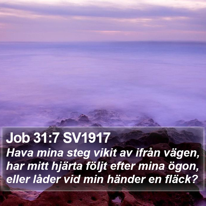 Job 31:7 SV1917 Bible Study