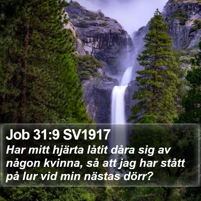 Job 31:9 SV1917 Bible Study