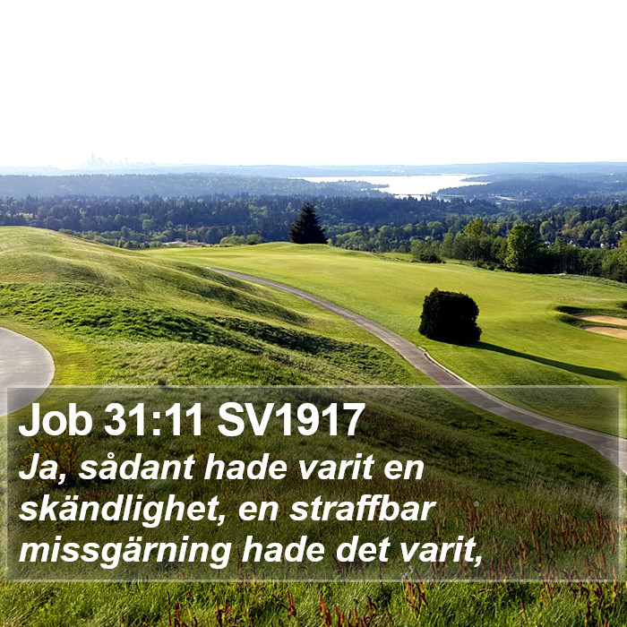 Job 31:11 SV1917 Bible Study