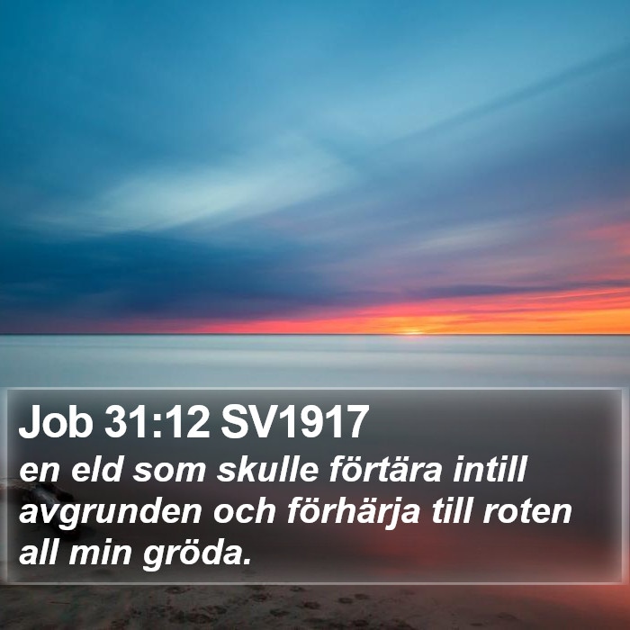 Job 31:12 SV1917 Bible Study