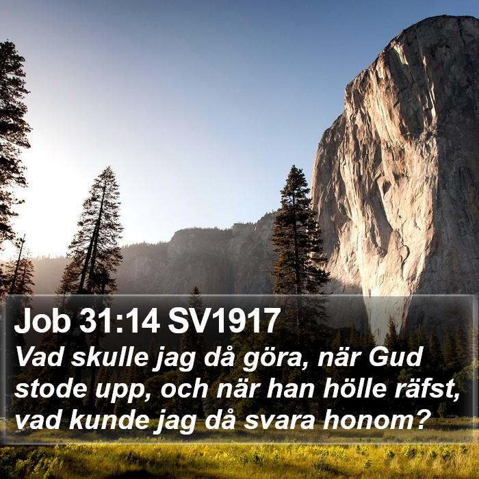 Job 31:14 SV1917 Bible Study