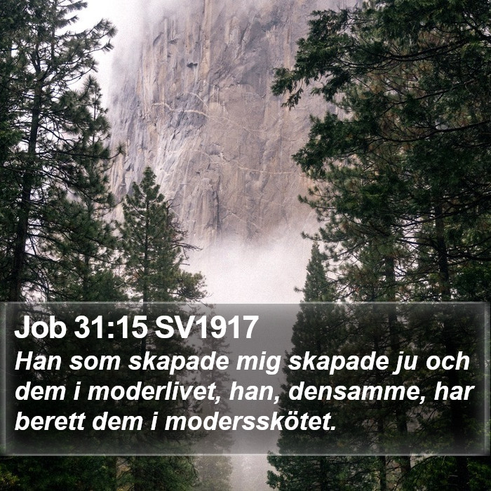 Job 31:15 SV1917 Bible Study