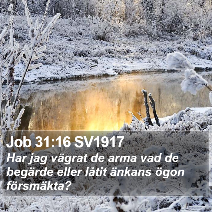 Job 31:16 SV1917 Bible Study