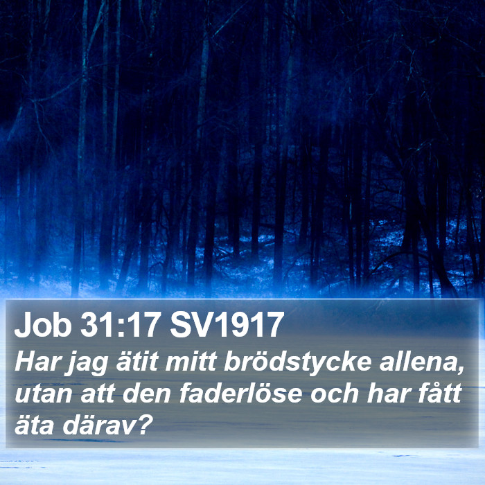 Job 31:17 SV1917 Bible Study