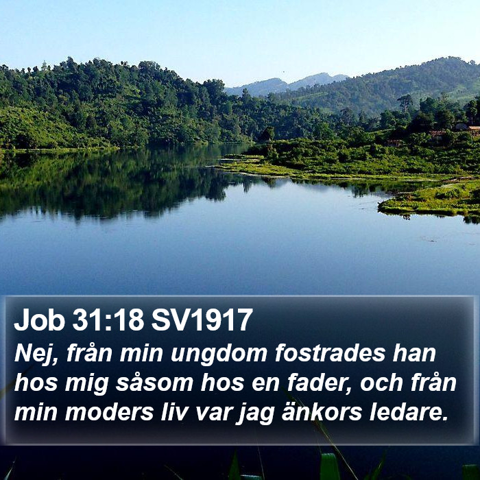 Job 31:18 SV1917 Bible Study