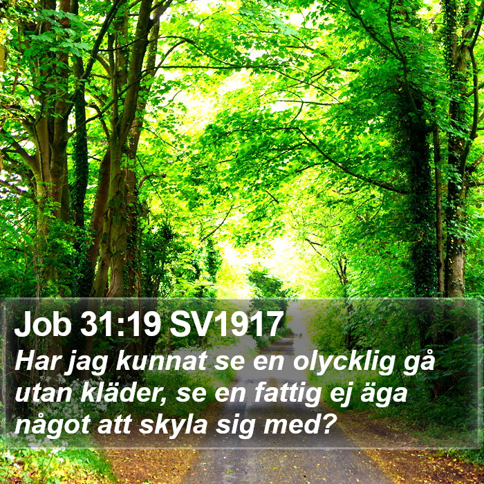 Job 31:19 SV1917 Bible Study