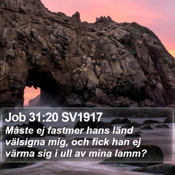 Job 31:20 SV1917 Bible Study