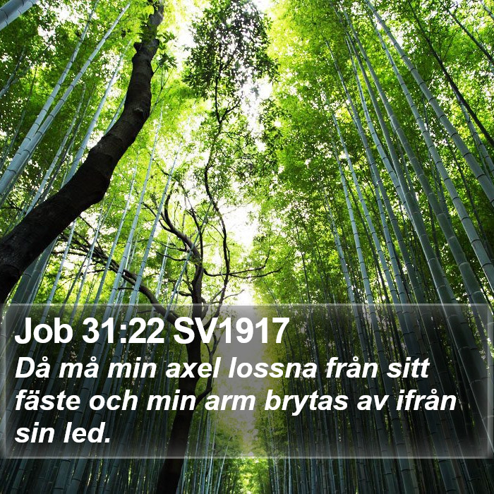 Job 31:22 SV1917 Bible Study