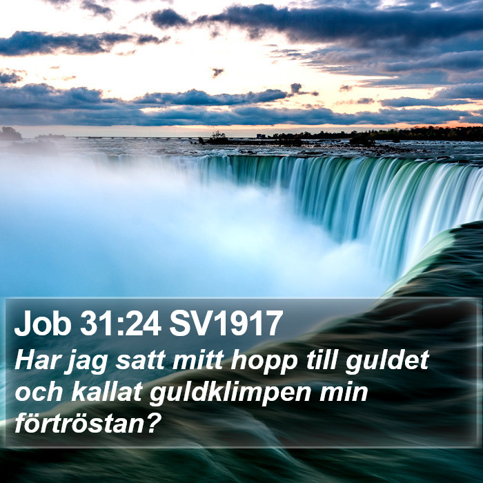 Job 31:24 SV1917 Bible Study