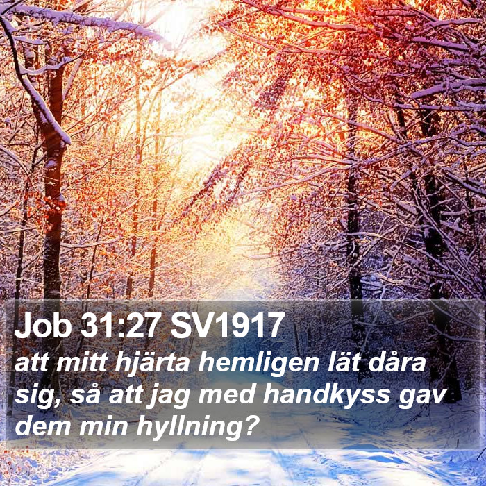 Job 31:27 SV1917 Bible Study