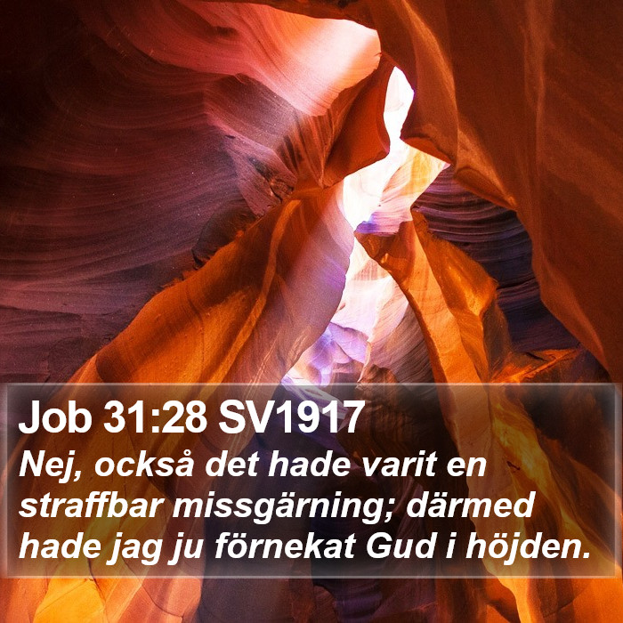 Job 31:28 SV1917 Bible Study