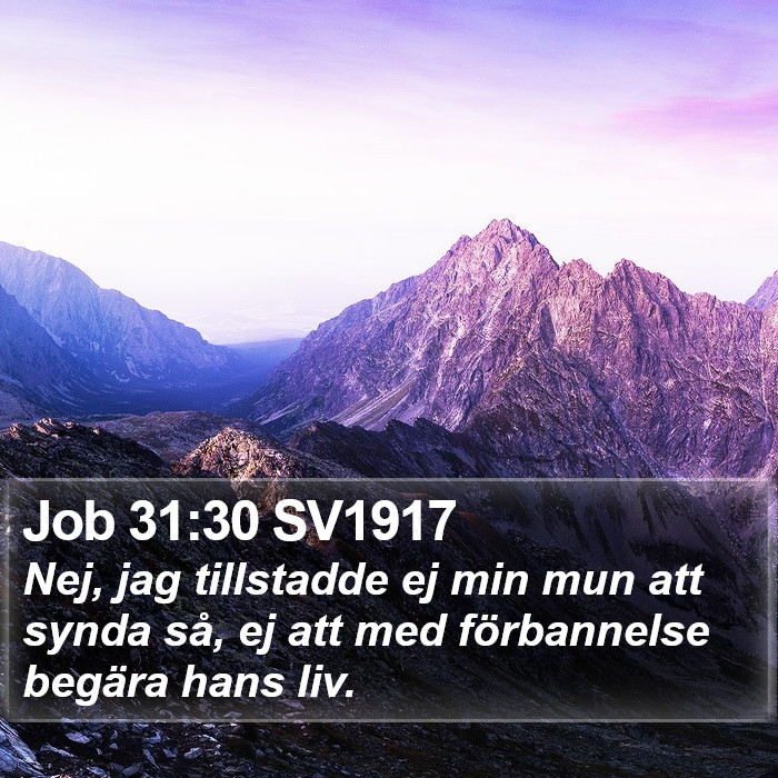 Job 31:30 SV1917 Bible Study