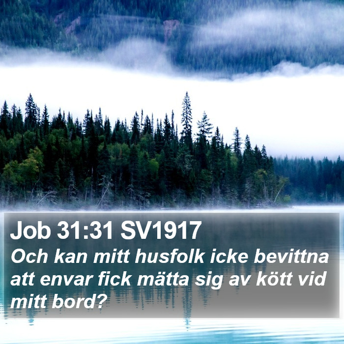 Job 31:31 SV1917 Bible Study