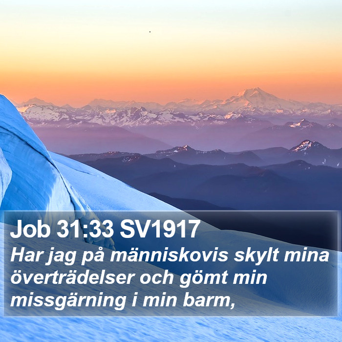 Job 31:33 SV1917 Bible Study