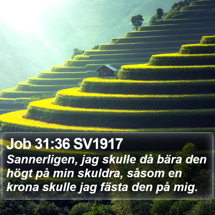 Job 31:36 SV1917 Bible Study