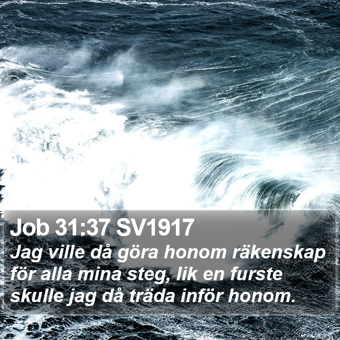 Job 31:37 SV1917 Bible Study