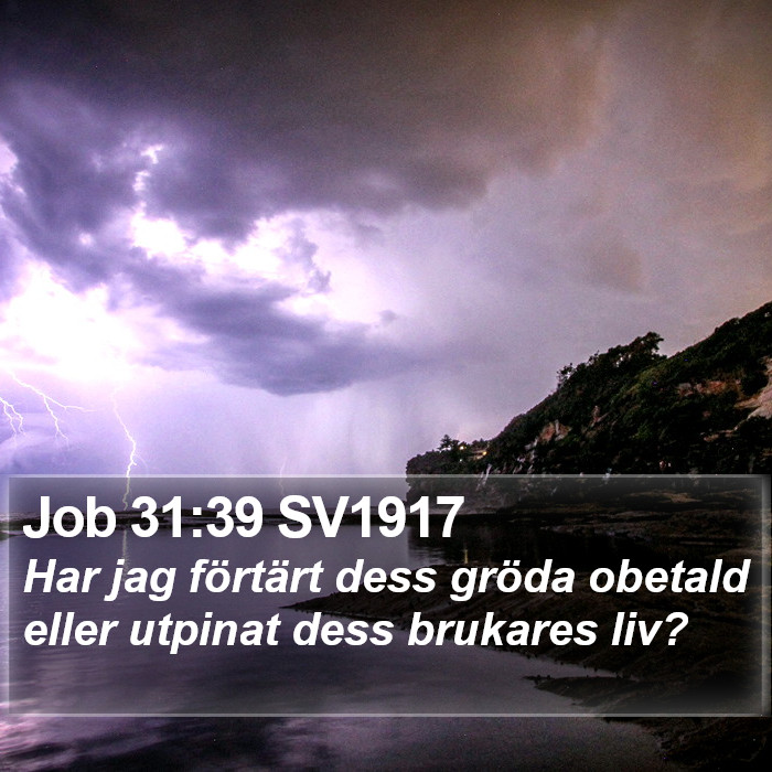 Job 31:39 SV1917 Bible Study