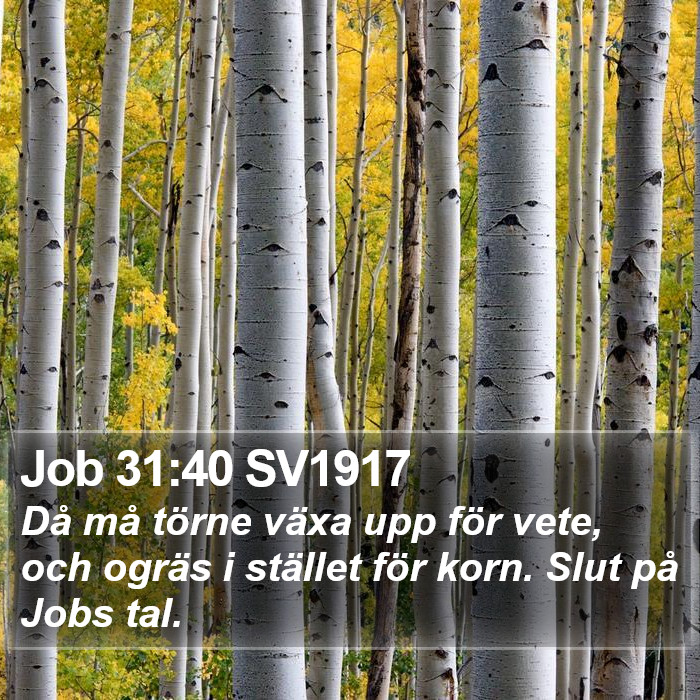 Job 31:40 SV1917 Bible Study