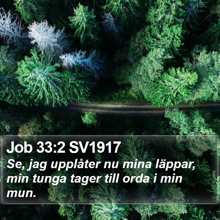 Job 33:2 SV1917 Bible Study