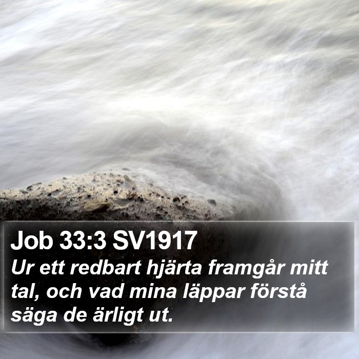 Job 33:3 SV1917 Bible Study