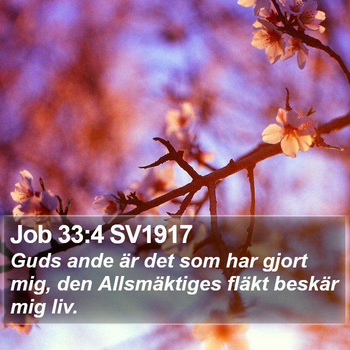 Job 33:4 SV1917 Bible Study