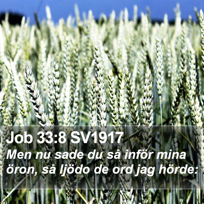 Job 33:8 SV1917 Bible Study