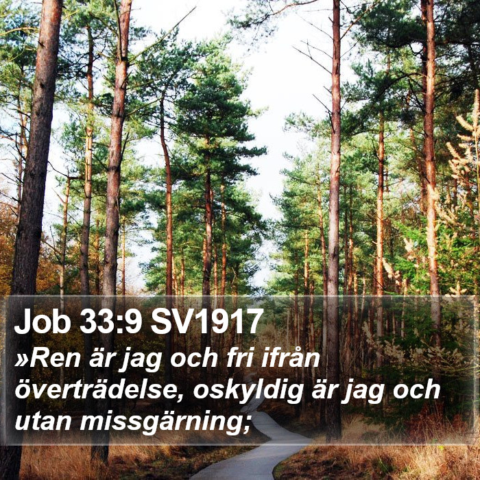 Job 33:9 SV1917 Bible Study