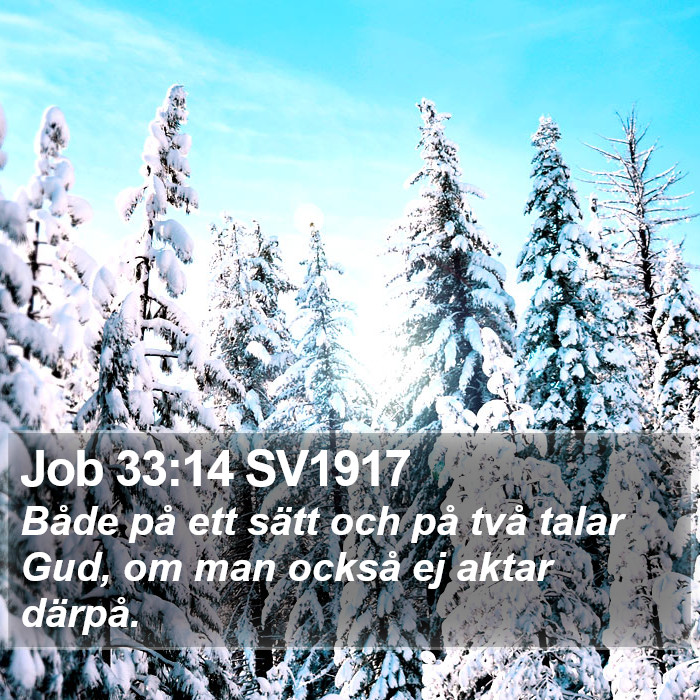 Job 33:14 SV1917 Bible Study