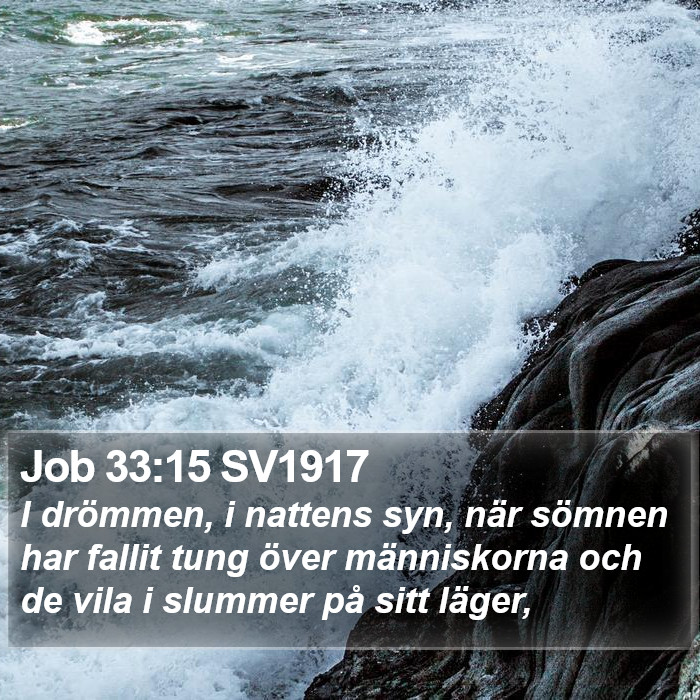 Job 33:15 SV1917 Bible Study