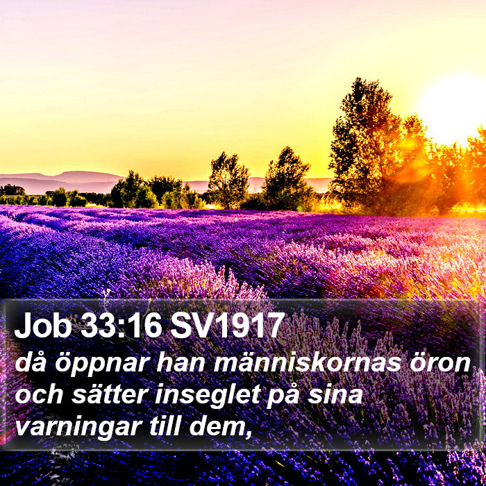 Job 33:16 SV1917 Bible Study