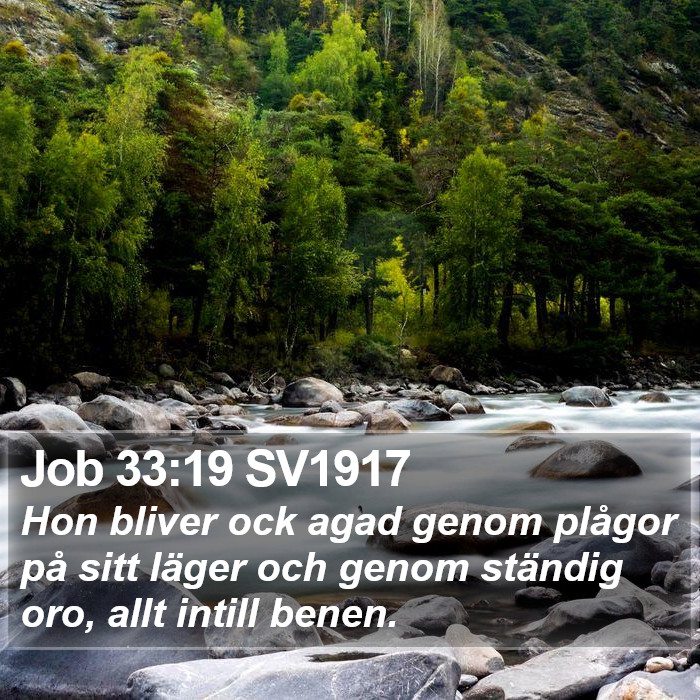 Job 33:19 SV1917 Bible Study