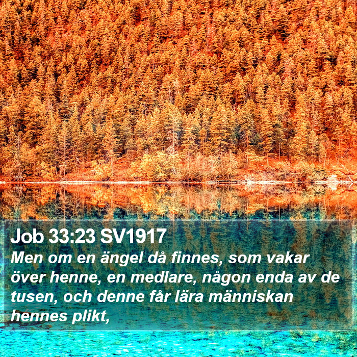 Job 33:23 SV1917 Bible Study