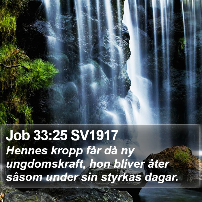 Job 33:25 SV1917 Bible Study