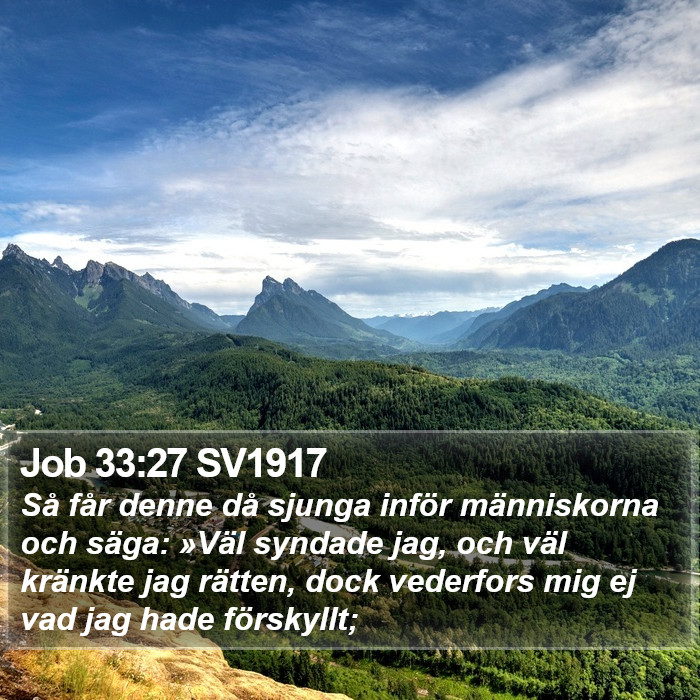 Job 33:27 SV1917 Bible Study