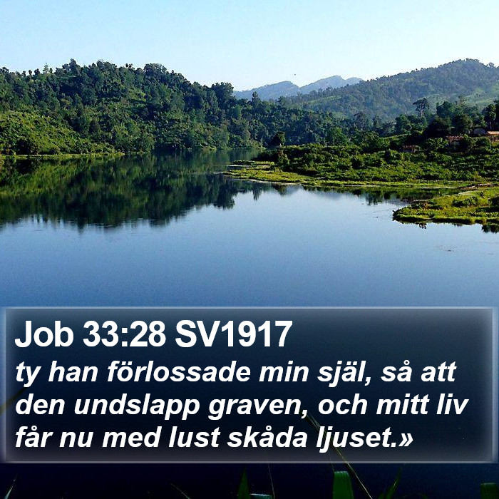 Job 33:28 SV1917 Bible Study