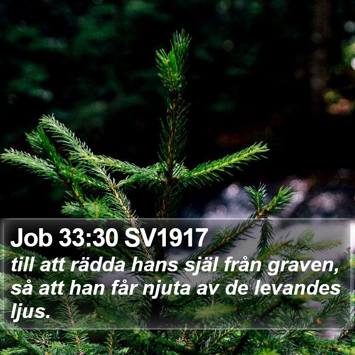 Job 33:30 SV1917 Bible Study